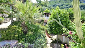 A lush garden with a variety of plants, a stone pathway, and a building with a red roof in the background. - Villa Bacco (Massa Lubrense)