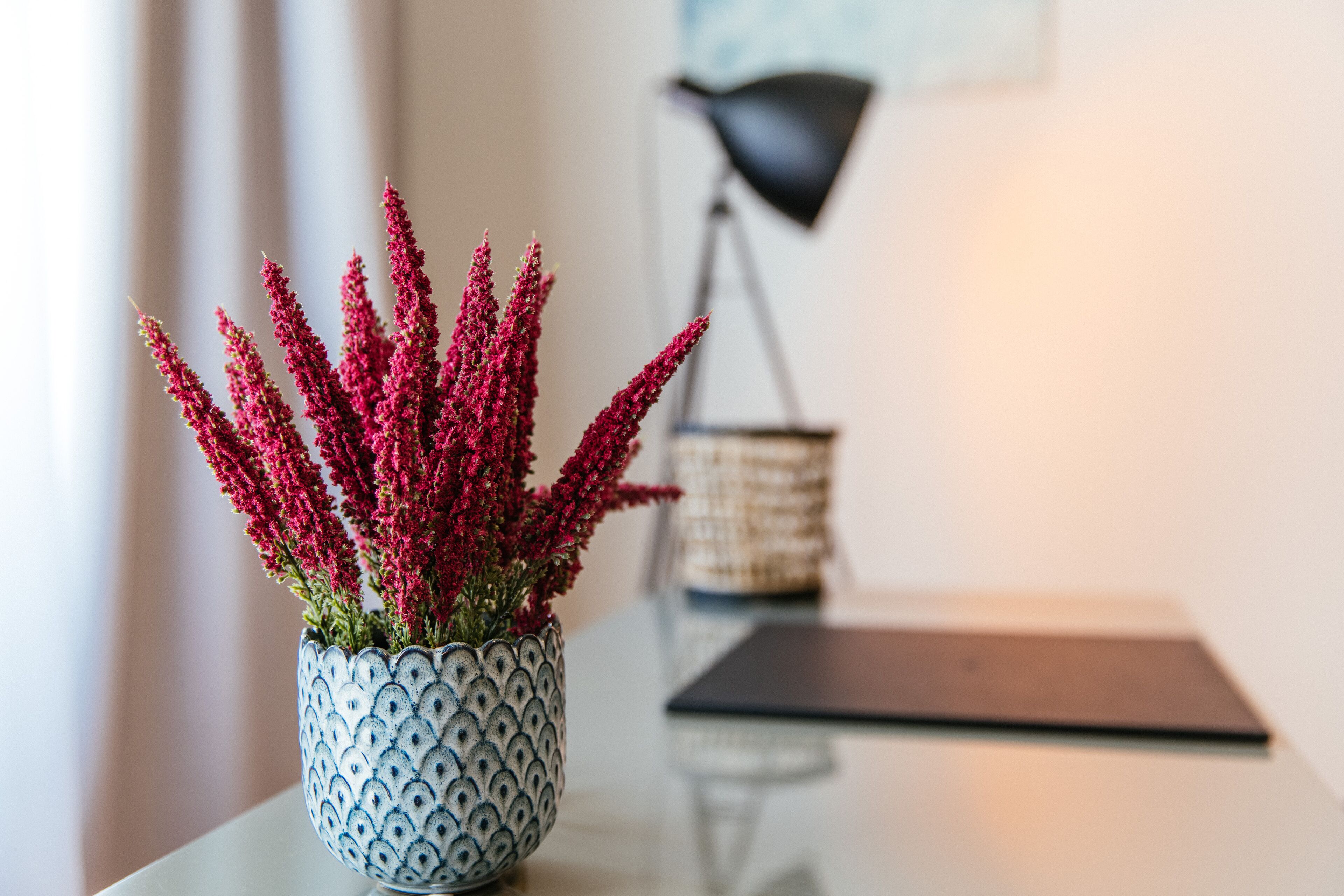 Une plante en pot avec des fleurs roses, posée sur une table.