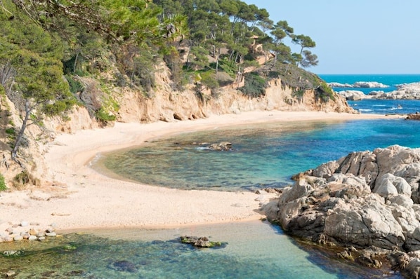 Plage à proximité