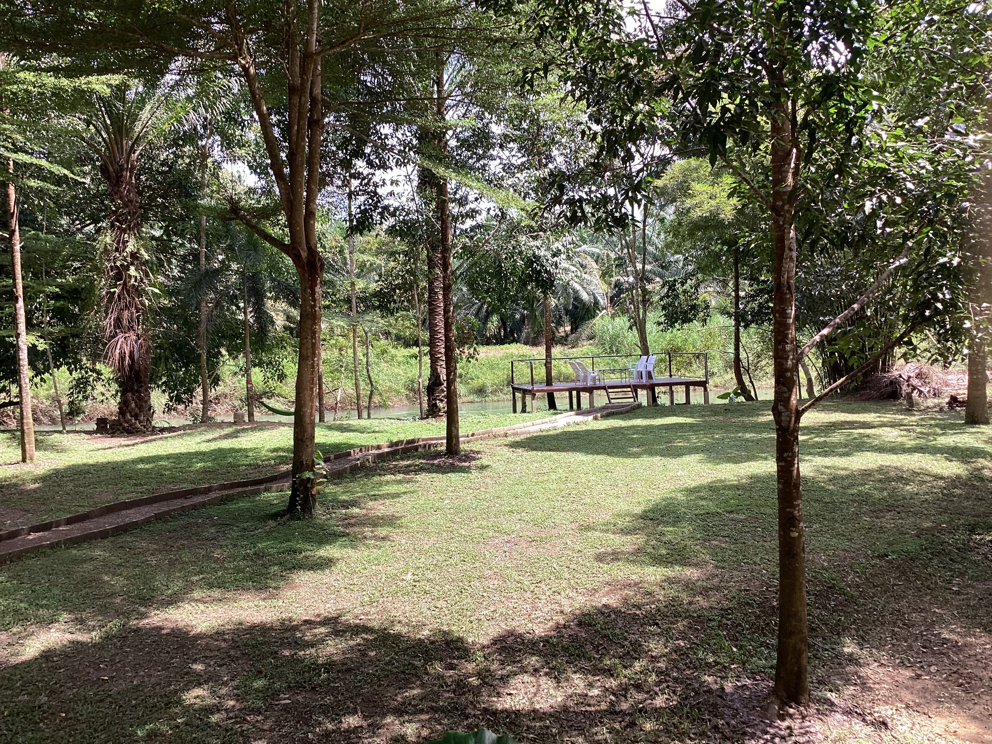 A park with a wooden deck and chairs, surrounded by trees and grass.