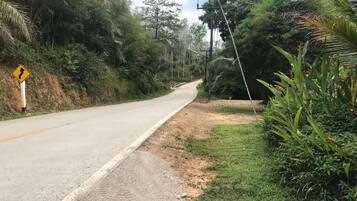 A narrow road with a curve warning sign, surrounded by dense vegetation and a clear sky.
