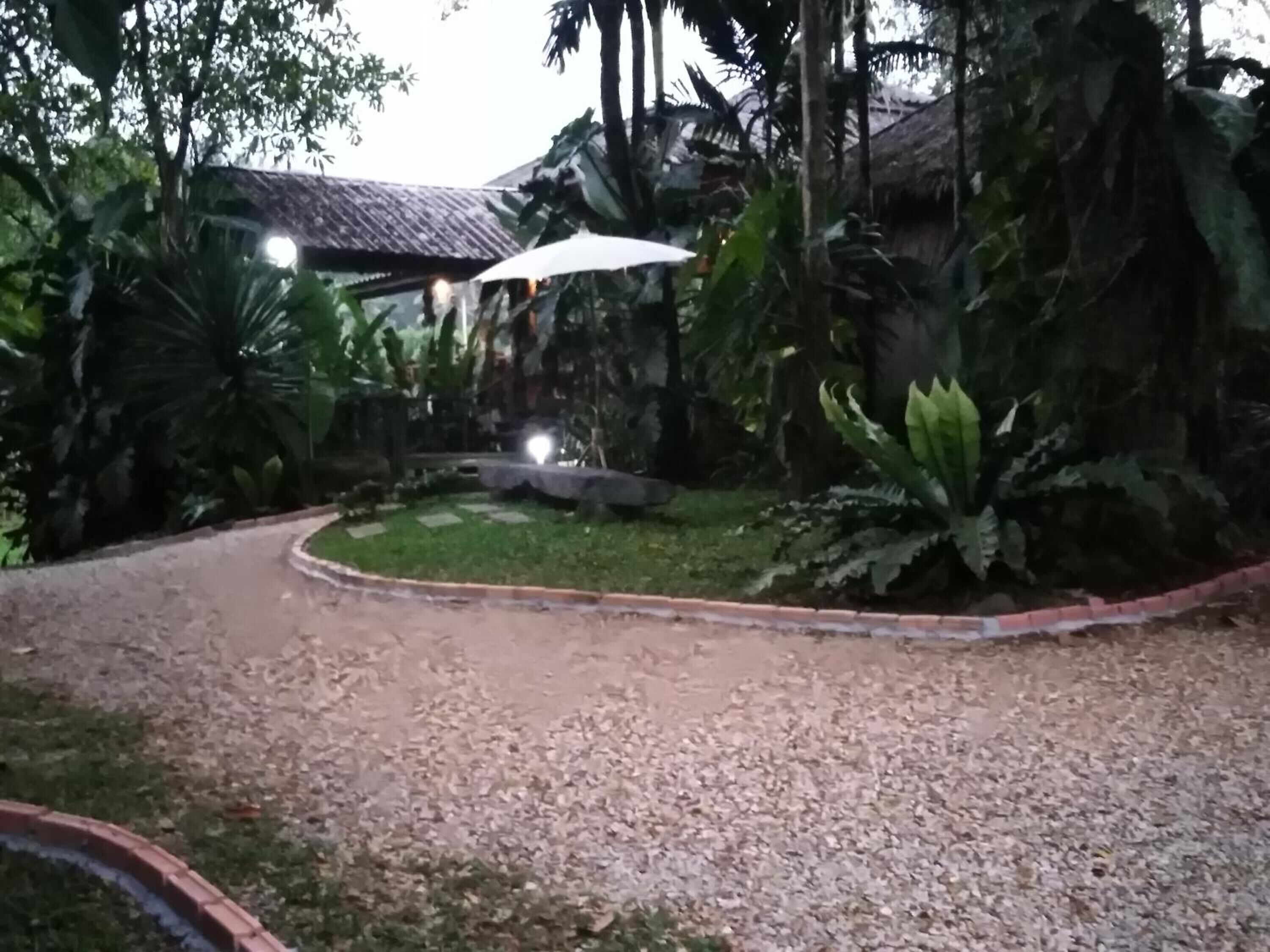 A garden with a gravel path, a thatched-roof structure, and lush greenery.