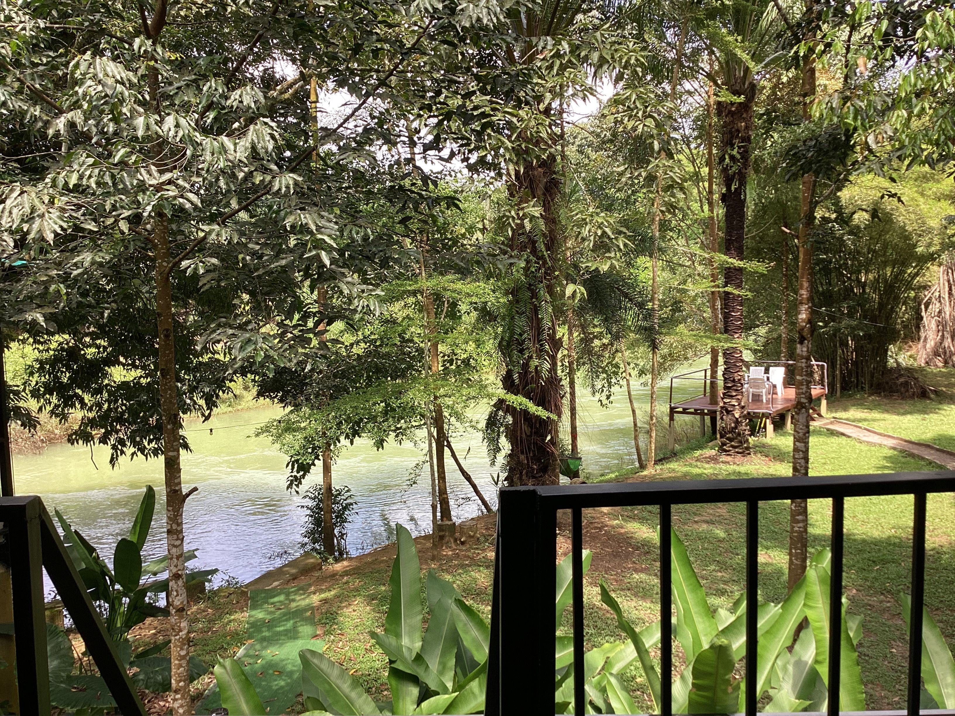 Vista de un río con árboles y una terraza de madera con sillas.