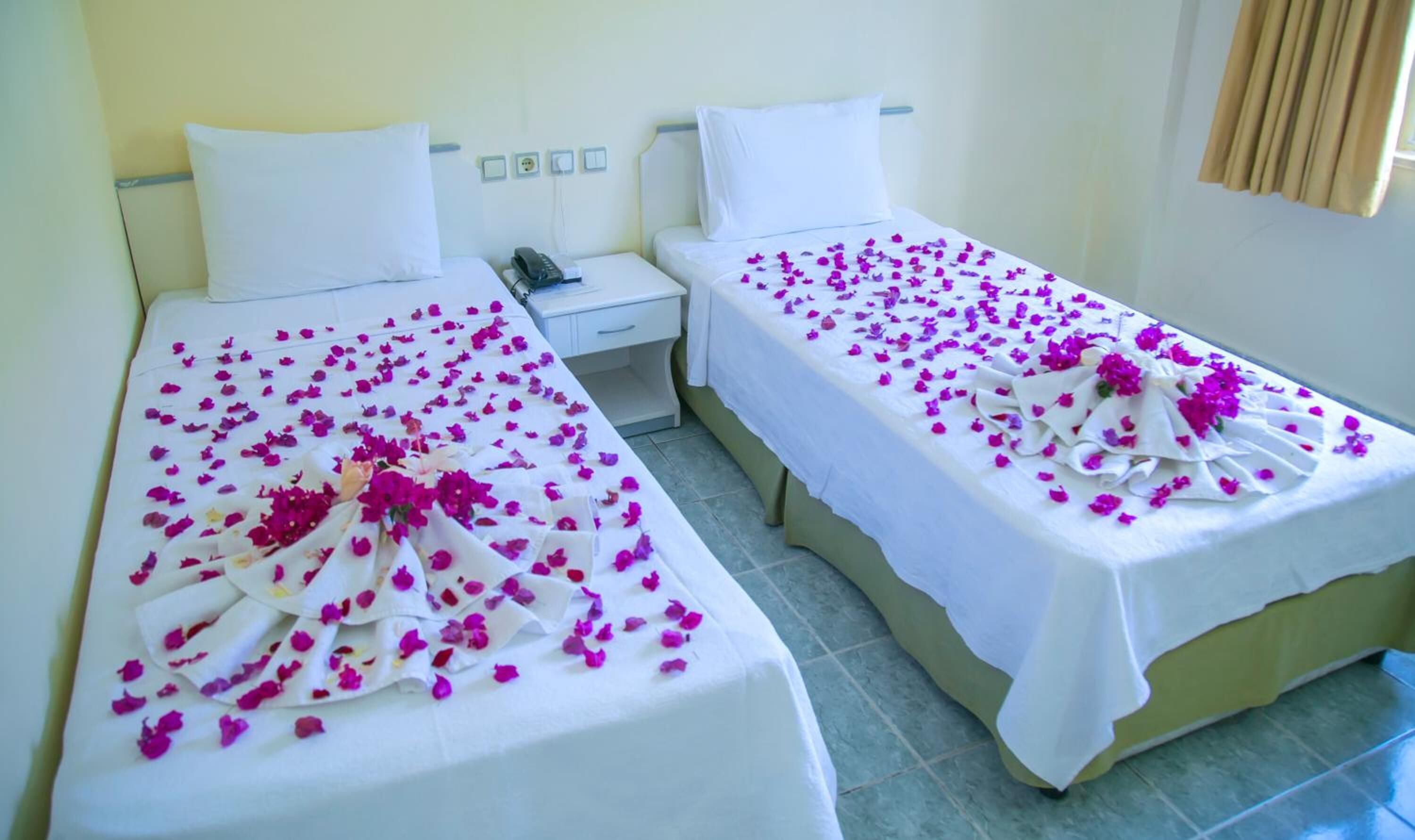 Photo - Ozlem 2 Apart Hotel