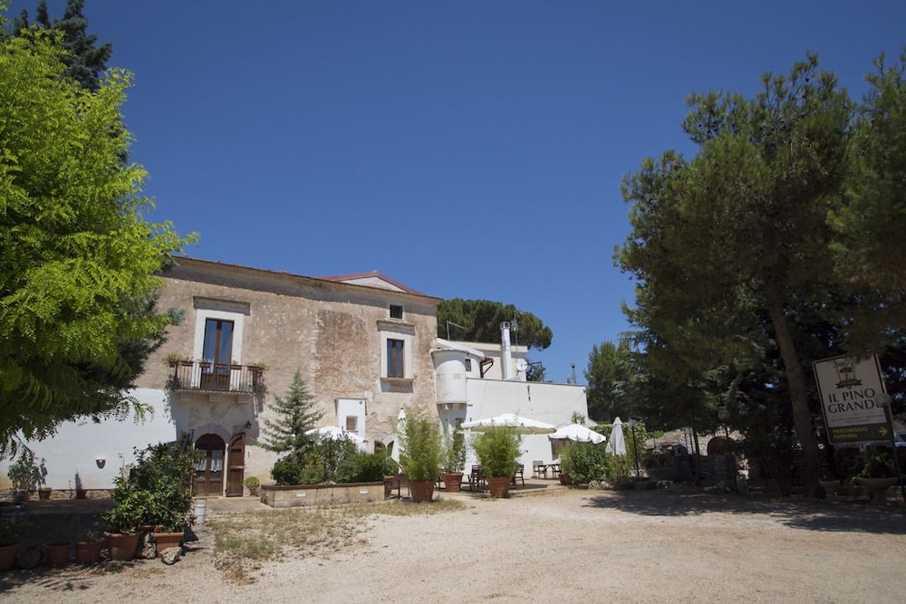 Il Pino Grande Bio Masseria Agriturismo image