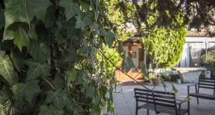 Masseria Citulo - Il Pino Grande