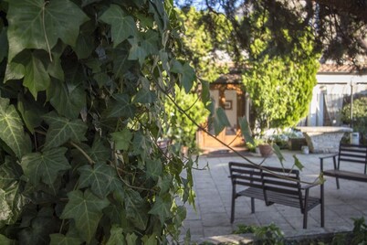 Masseria Citulo - Il Pino Grande