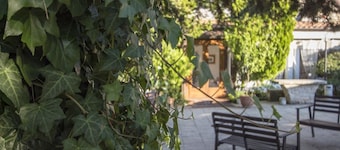 Masseria Citulo - Il Pino Grande