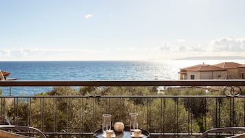 Vista desde la propiedad