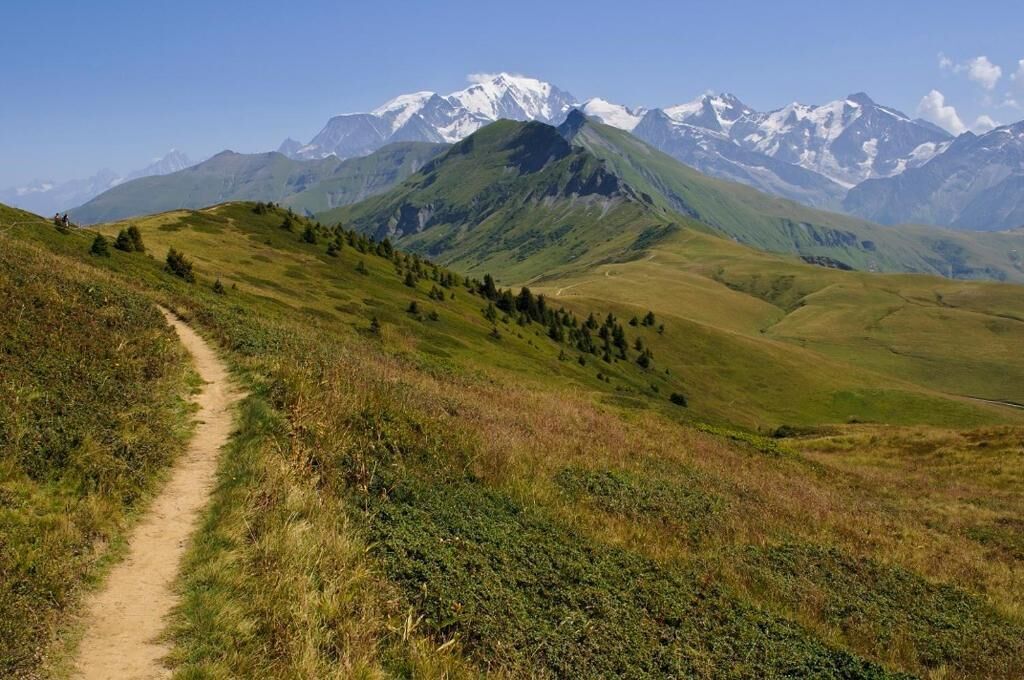 Un sendero de montaña que conduce a una zona cubierta de hierba con vistas a montañas nevadas al fondo.