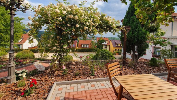 Un jardín con un banco de madera, una pérgola y un camino de ladrillo.