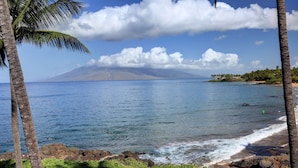 Paesaggio costiero con palme, una spiaggia e una montagna sullo sfondo.