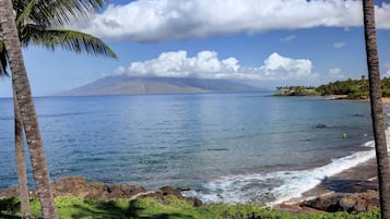 Aan het strand, ligstoelen aan het strand, strandlakens