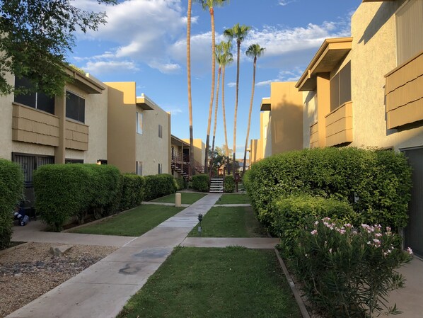 Property grounds - Newly redone, in the heart of Scottsdale (Scottsdale)