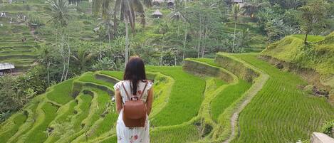 Una mujer con un vestido blanco estampado con flores y una mochila marrón, de pie en una zona cubierta de césped con vistas a campos de arroz en terrazas.