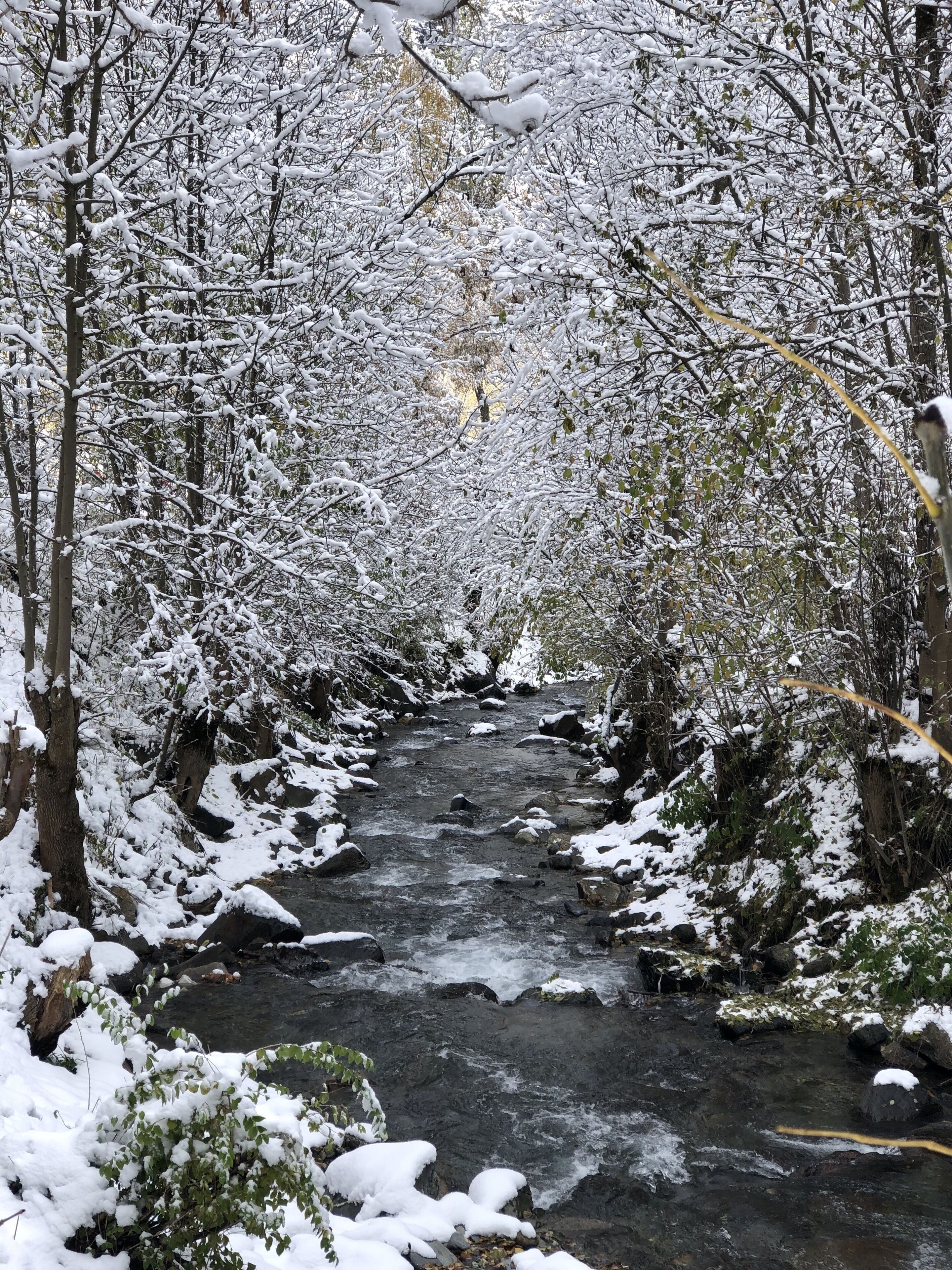 Foto - Hotel Palarine