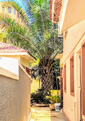Detalle exterior