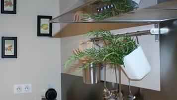 A kitchen with stainless steel appliances, a coffee maker, a hanging plant, and framed pictures on the wall.