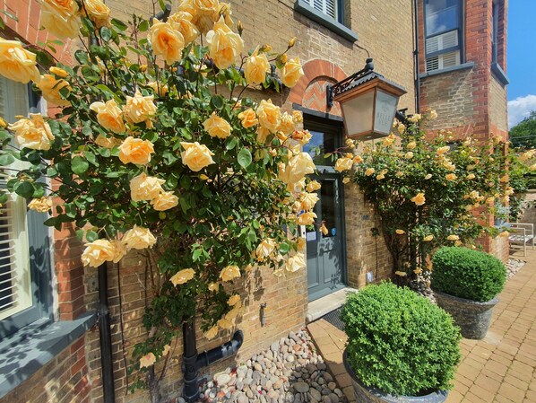 Exterior - Belle Vue (Downham Market)