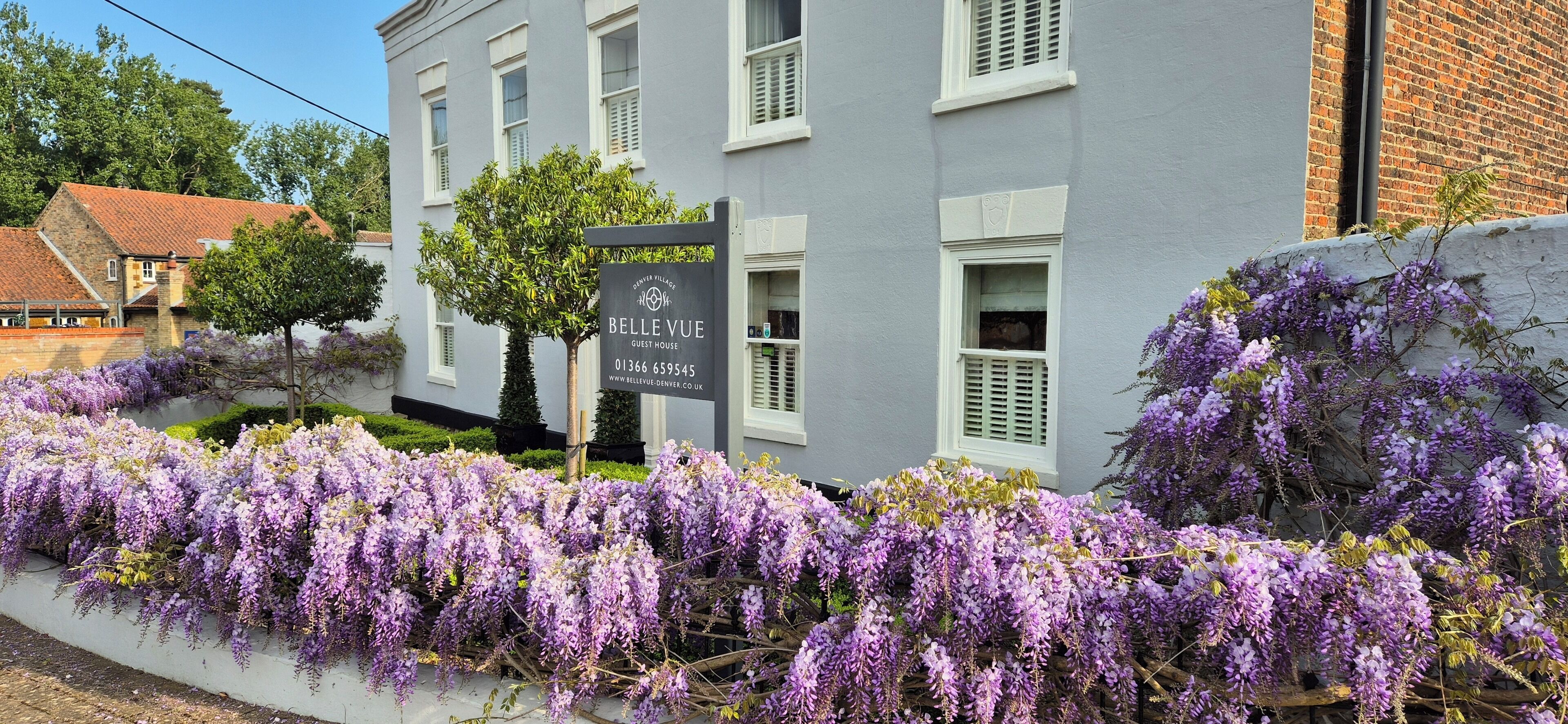 Jardines del alojamiento