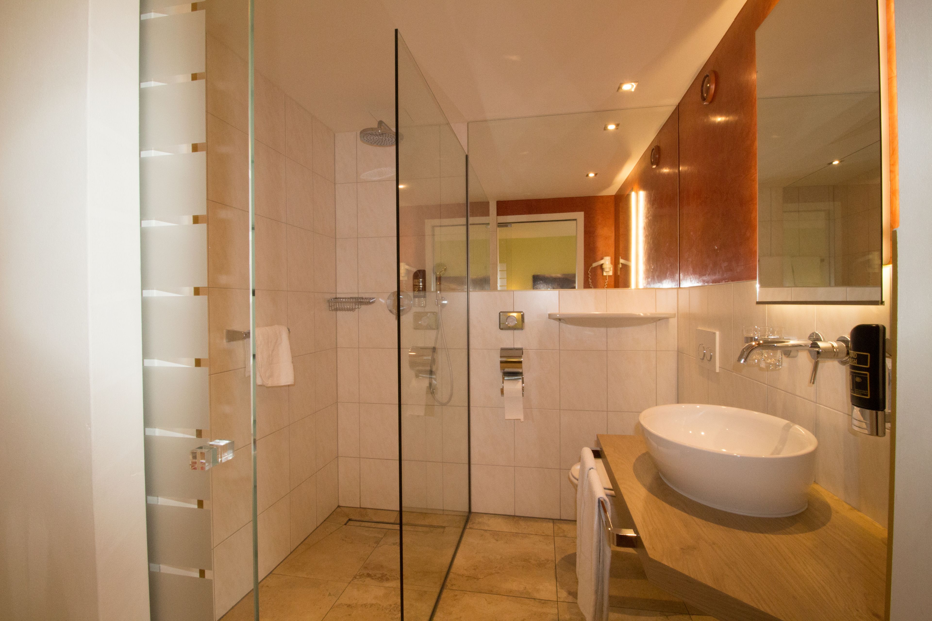 classic double room | bathroom shower