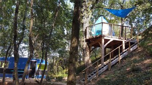 A wooden tower structure with a blue roof, surrounded by trees, and a blue canopy above. - Des Branches & Vous (Chateauneuf-sur-Isere)