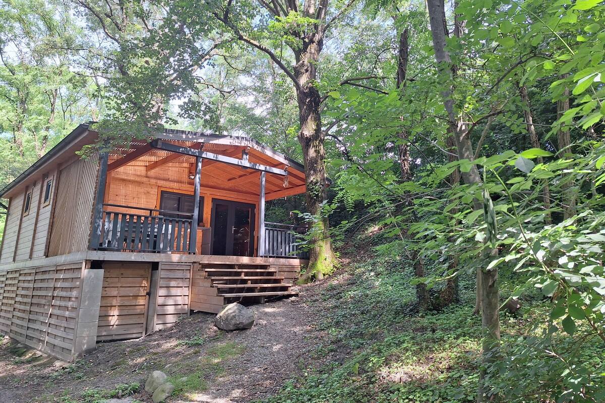 A wooden cabin with a porch and steps leading up to the entrance, surrounded by dense forest.