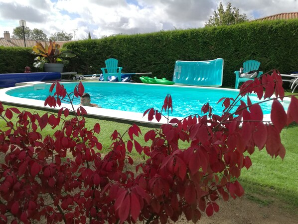 A swimming pool with a blue border, surrounded by green hedges and red foliage.
