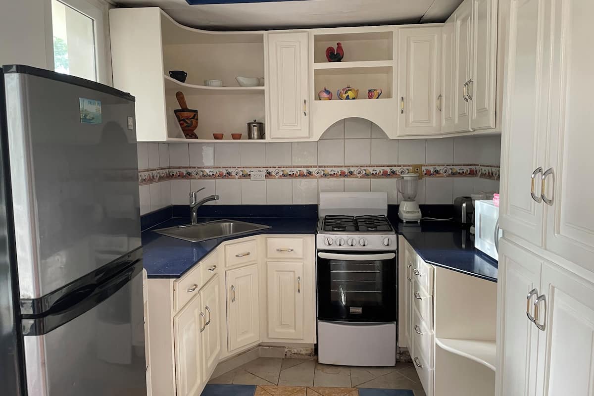 classic condo, multiple beds, non smoking (311) | private kitchen