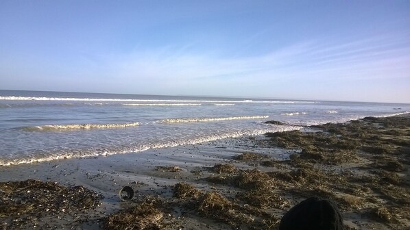 Playa en los alrededores 