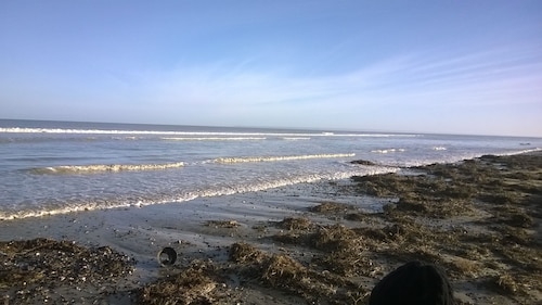 GRAND STUDIO sea view, 47M2 tastefully decorated, 3 stars