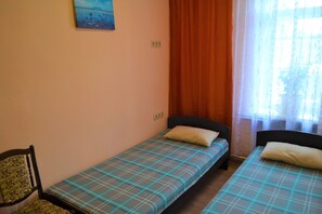 Economy Twin Room | Iron/ironing board, free WiFi, bed sheets - Hostel Aviator (Moscow)