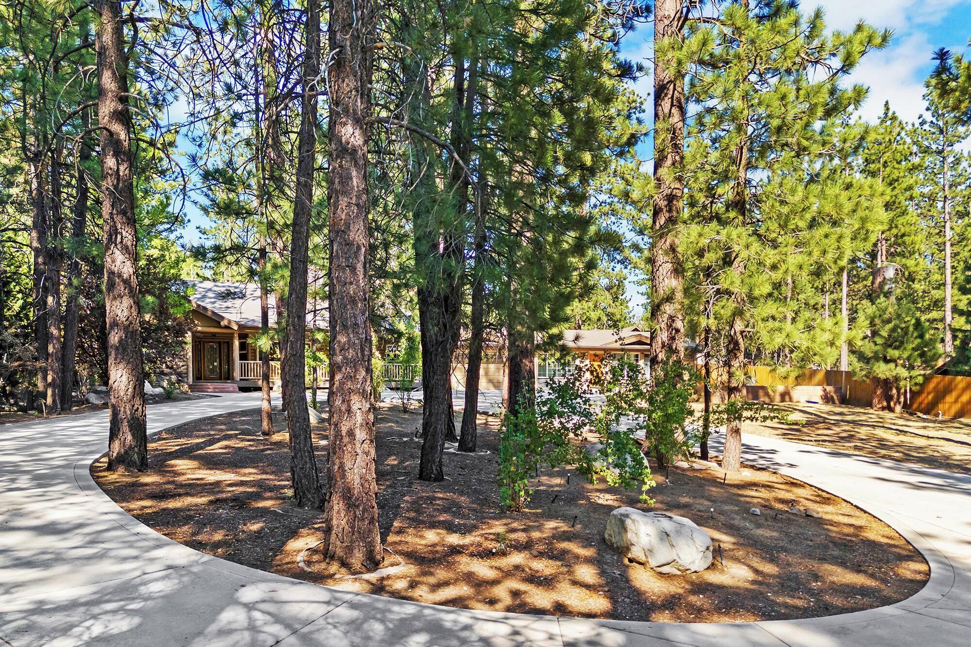 A forested area with a building that has a porch and a covered patio area.