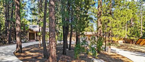 A forested area with a building that has a porch and a covered patio area.