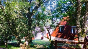 A rustic cabin with a wooden deck, surrounded by dense trees and a well-maintained lawn. - Glen Lodges (Rogart)