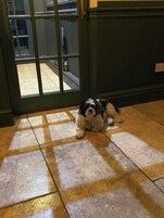 Un perro sentado sobre un suelo de baldosas cerca de una puerta con ventana.
