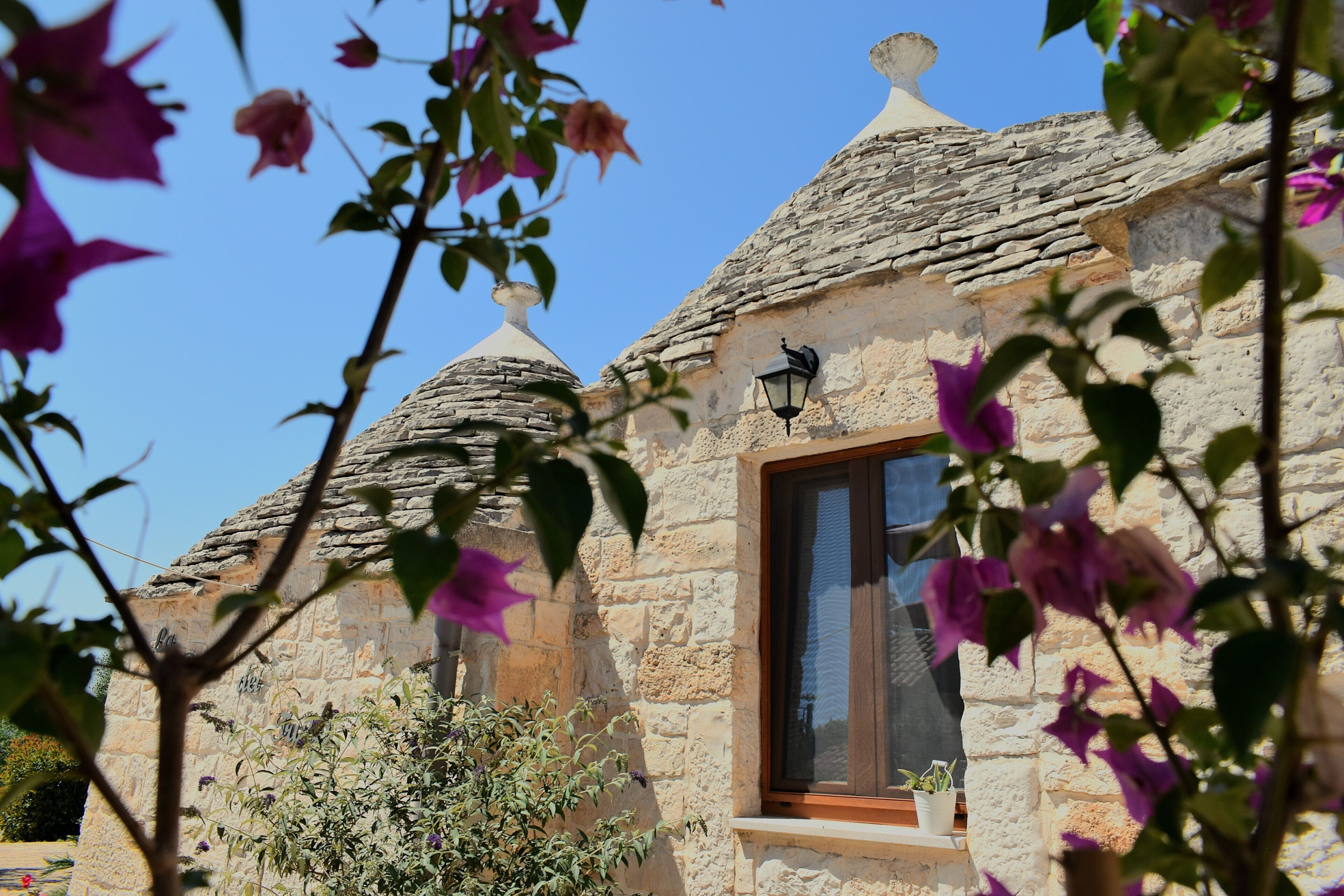 Foto - La Rosa dei Trulli B&B