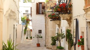 A narrow street with white buildings, balconies with flower pots, and a staircase leading to a door.