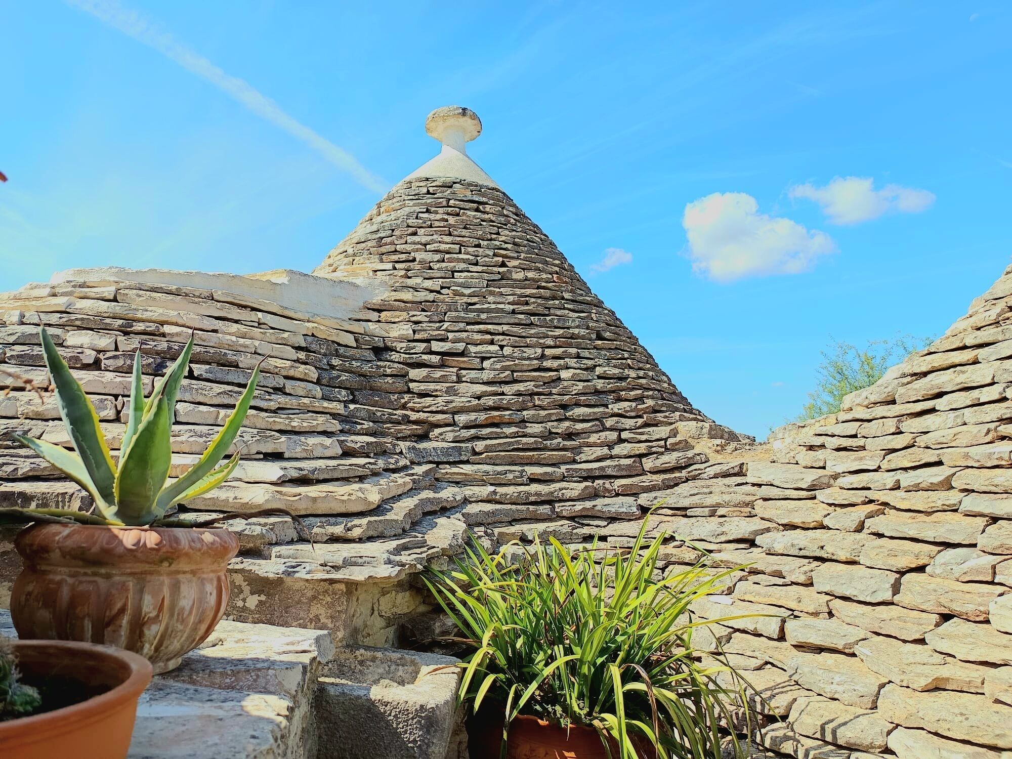 Foto - La Rosa dei Trulli B&B