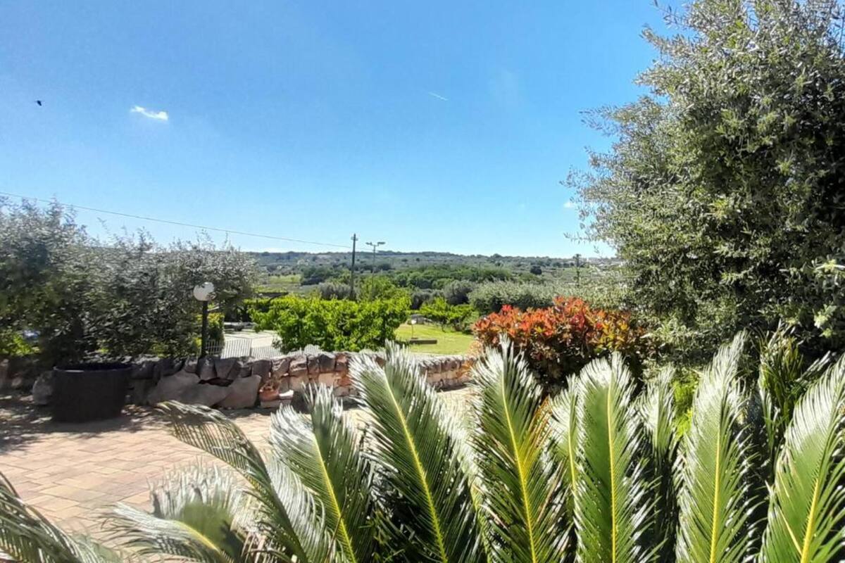 A garden with palm trees, a stone wall, and a view of the countryside.
