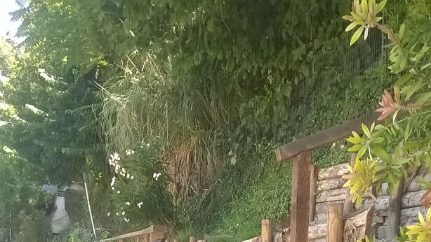 Een stenen trap met houten leuningen die leidt naar een tuin.