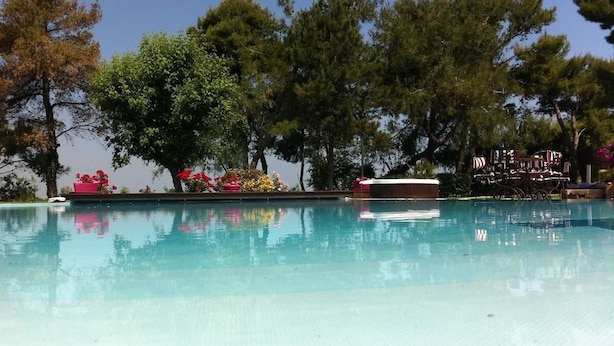 A clear swimming pool surrounded by trees and outdoor furniture. - Locanda Strada Della Marina (Senigallia)
