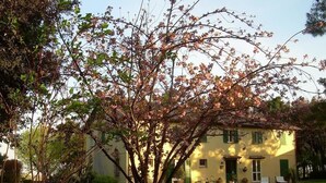 A building with a green door and windows, surrounded by a well-maintained lawn and a flowering tree. - Locanda Strada Della Marina (Senigallia)