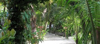 Hotel Salvador Gaviota