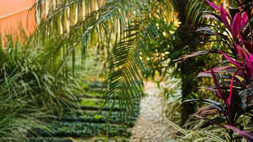 Jardín