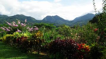 A lush garden with a variety of colorful plants and flowers, a grassy foreground, and a mountainous backdrop under a partly cloudy sky.