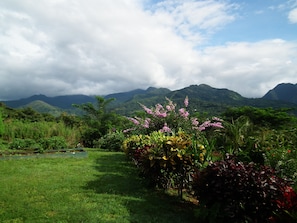 Teras/patio