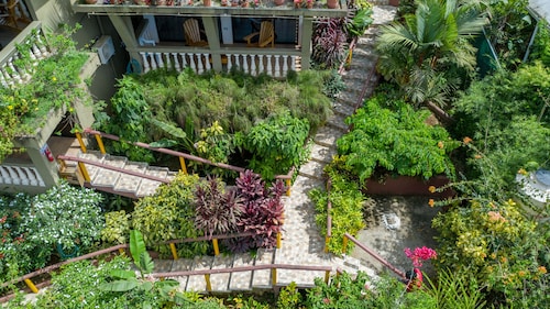 Jacamar Corcovado Drake Day