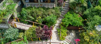 Jacamar Corcovado Drake Day