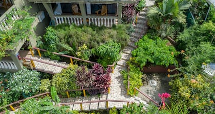 Jacamar Corcovado Drake Day